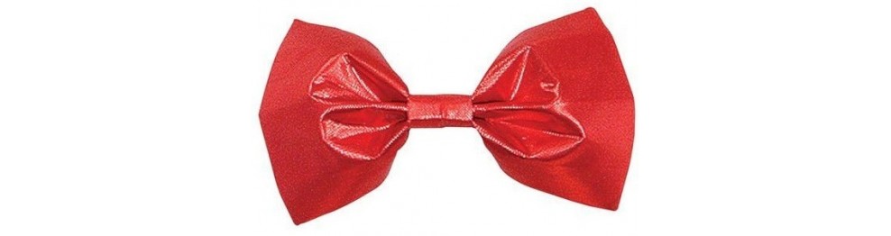 Slipsar | flugor | scarfs